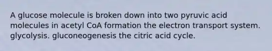 A glucose molecule is broken down into two pyruvic acid molecules in acetyl CoA formation the <a href='https://www.questionai.com/knowledge/kbvjAonm6A-electron-transport-system' class='anchor-knowledge'>electron transport system</a>. glycolysis. gluconeogenesis the citric acid cycle.