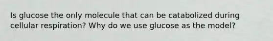 Is glucose the only molecule that can be catabolized during cellular respiration? Why do we use glucose as the model?