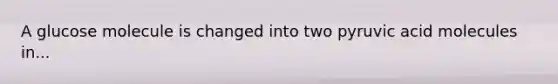 A glucose molecule is changed into two pyruvic acid molecules in...