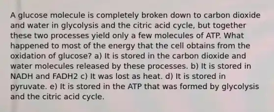 A glucose molecule is completely broken down to carbon dioxide and water in glycolysis and the citric acid cycle, but together these two processes yield only a few molecules of ATP. What happened to most of the energy that the cell obtains from the oxidation of glucose? a) It is stored in the carbon dioxide and water molecules released by these processes. b) It is stored in NADH and FADH2 c) It was lost as heat. d) It is stored in pyruvate. e) It is stored in the ATP that was formed by glycolysis and the citric acid cycle.