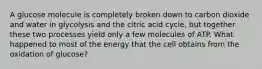 A glucose molecule is completely broken down to carbon dioxide and water in glycolysis and the citric acid cycle, but together these two processes yield only a few molecules of ATP. What happened to most of the energy that the cell obtains from the oxidation of glucose?