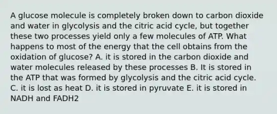 A glucose molecule is completely broken down to carbon dioxide and water in glycolysis and the citric acid cycle, but together these two processes yield only a few molecules of ATP. What happens to most of the energy that the cell obtains from the oxidation of glucose? A. it is stored in the carbon dioxide and water molecules released by these processes B. It is stored in the ATP that was formed by glycolysis and the citric acid cycle. C. it is lost as heat D. it is stored in pyruvate E. it is stored in NADH and FADH2