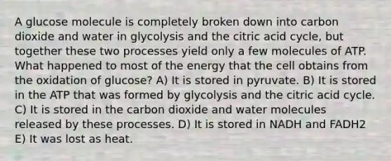 A glucose molecule is completely broken down into carbon dioxide and water in glycolysis and the citric acid cycle, but together these two processes yield only a few molecules of ATP. What happened to most of the energy that the cell obtains from the oxidation of glucose? A) It is stored in pyruvate. B) It is stored in the ATP that was formed by glycolysis and the citric acid cycle. C) It is stored in the carbon dioxide and water molecules released by these processes. D) It is stored in NADH and FADH2 E) It was lost as heat.