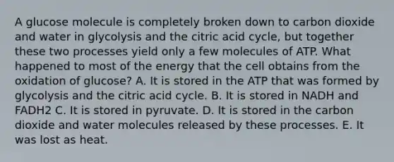 A glucose molecule is completely broken down to carbon dioxide and water in glycolysis and the citric acid cycle, but together these two processes yield only a few molecules of ATP. What happened to most of the energy that the cell obtains from the oxidation of glucose? A. It is stored in the ATP that was formed by glycolysis and the citric acid cycle. B. It is stored in NADH and FADH2 C. It is stored in pyruvate. D. It is stored in the carbon dioxide and water molecules released by these processes. E. It was lost as heat.