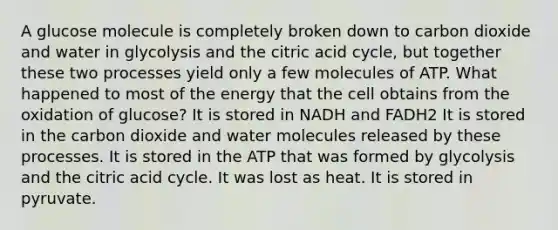 A glucose molecule is completely broken down to carbon dioxide and water in glycolysis and the citric acid cycle, but together these two processes yield only a few molecules of ATP. What happened to most of the energy that the cell obtains from the oxidation of glucose? It is stored in NADH and FADH2 It is stored in the carbon dioxide and water molecules released by these processes. It is stored in the ATP that was formed by glycolysis and the citric acid cycle. It was lost as heat. It is stored in pyruvate.