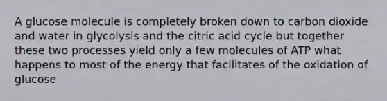 A glucose molecule is completely broken down to carbon dioxide and water in glycolysis and the citric acid cycle but together these two processes yield only a few molecules of ATP what happens to most of the energy that facilitates of the oxidation of glucose