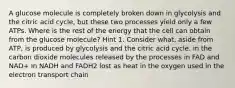 A glucose molecule is completely broken down in glycolysis and the citric acid cycle, but these two processes yield only a few ATPs. Where is the rest of the energy that the cell can obtain from the glucose molecule? Hint 1. Consider what, aside from ATP, is produced by glycolysis and the citric acid cycle. in the carbon dioxide molecules released by the processes in FAD and NAD+ in NADH and FADH2 lost as heat in the oxygen used in the electron transport chain