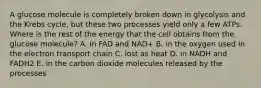 A glucose molecule is completely broken down in glycolysis and the Krebs cycle, but these two processes yield only a few ATPs. Where is the rest of the energy that the cell obtains from the glucose molecule? A. in FAD and NAD+ B. in the oxygen used in the electron transport chain C. lost as heat D. in NADH and FADH2 E. in the carbon dioxide molecules released by the processes