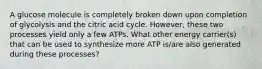 A glucose molecule is completely broken down upon completion of glycolysis and the citric acid cycle. However, these two processes yield only a few ATPs. What other energy carrier(s) that can be used to synthesize more ATP is/are also generated during these processes?