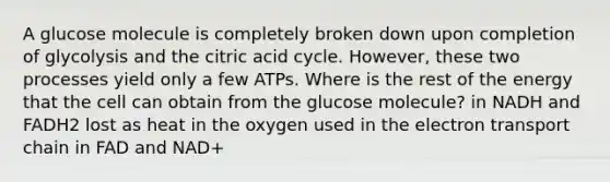 A glucose molecule is completely broken down upon completion of glycolysis and the citric acid cycle. However, these two processes yield only a few ATPs. Where is the rest of the energy that the cell can obtain from the glucose molecule? in NADH and FADH2 lost as heat in the oxygen used in the electron transport chain in FAD and NAD+