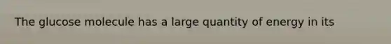The glucose molecule has a large quantity of energy in its