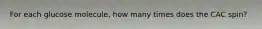 For each glucose molecule, how many times does the CAC spin?