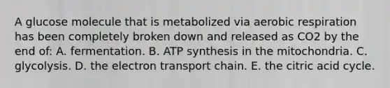 A glucose molecule that is metabolized via aerobic respiration has been completely broken down and released as CO2 by the end of: A. fermentation. B. <a href='https://www.questionai.com/knowledge/kx3XpCJrFz-atp-synthesis' class='anchor-knowledge'>atp synthesis</a> in the mitochondria. C. glycolysis. D. <a href='https://www.questionai.com/knowledge/k57oGBr0HP-the-electron-transport-chain' class='anchor-knowledge'>the electron transport chain</a>. E. the citric acid cycle.