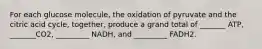 For each glucose molecule, the oxidation of pyruvate and the citric acid cycle, together, produce a grand total of _______ ATP, _______CO2, _________ NADH, and _________ FADH2.