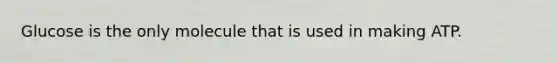 Glucose is the only molecule that is used in making ATP.
