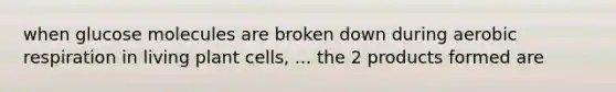 when glucose molecules are broken down during aerobic respiration in living plant cells, ... the 2 products formed are