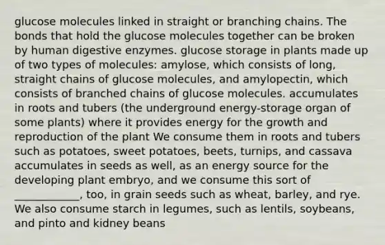 glucose molecules linked in straight or branching chains. The bonds that hold the glucose molecules together can be broken by human digestive enzymes. glucose storage in plants made up of two types of molecules: amylose, which consists of long, straight chains of glucose molecules, and amylopectin, which consists of branched chains of glucose molecules. accumulates in roots and tubers (the underground energy-storage organ of some plants) where it provides energy for the growth and reproduction of the plant We consume them in roots and tubers such as potatoes, sweet potatoes, beets, turnips, and cassava accumulates in seeds as well, as an energy source for the developing plant embryo, and we consume this sort of ____________, too, in grain seeds such as wheat, barley, and rye. We also consume starch in legumes, such as lentils, soybeans, and pinto and kidney beans