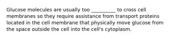 Glucose molecules are usually too __________ to cross cell membranes so they require assistance from transport proteins located in the cell membrane that physically move glucose from the space outside the cell into the cell's cytoplasm.