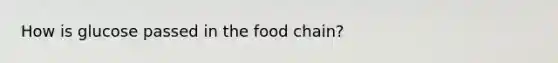 How is glucose passed in the food chain?