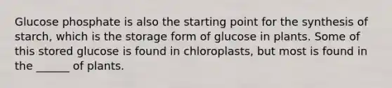 Glucose phosphate is also the starting point for the synthesis of starch, which is the storage form of glucose in plants. Some of this stored glucose is found in chloroplasts, but most is found in the ______ of plants.