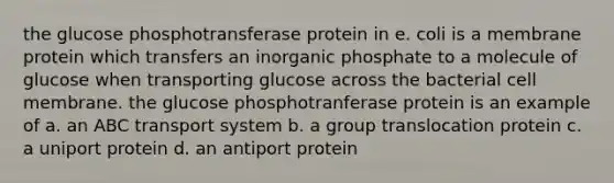 the glucose phosphotransferase protein in e. coli is a membrane protein which transfers an inorganic phosphate to a molecule of glucose when transporting glucose across the bacterial cell membrane. the glucose phosphotranferase protein is an example of a. an ABC transport system b. a group translocation protein c. a uniport protein d. an antiport protein