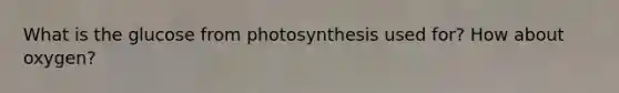 What is the glucose from photosynthesis used for? How about oxygen?