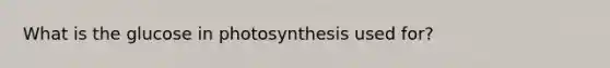 What is the glucose in photosynthesis used for?