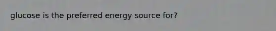 glucose is the preferred energy source for?