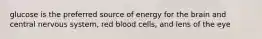 glucose is the preferred source of energy for the brain and central nervous system, red blood cells, and lens of the eye