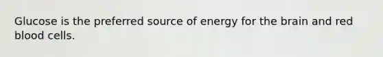 Glucose is the preferred source of energy for the brain and red blood cells.