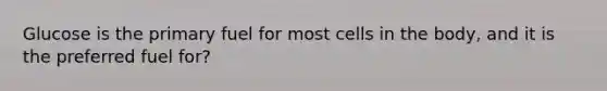 Glucose is the primary fuel for most cells in the body, and it is the preferred fuel for?