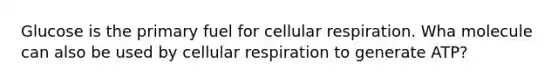 Glucose is the primary fuel for cellular respiration. Wha molecule can also be used by cellular respiration to generate ATP?