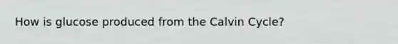 How is glucose produced from the Calvin Cycle?
