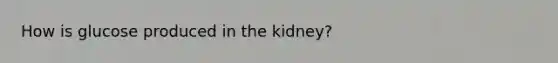 How is glucose produced in the kidney?