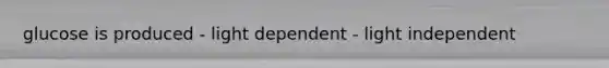 glucose is produced - light dependent - light independent