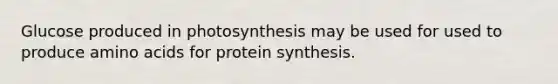 Glucose produced in photosynthesis may be used for used to produce amino acids for protein synthesis.