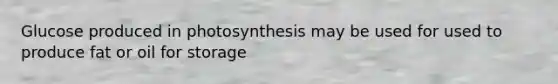 Glucose produced in photosynthesis may be used for used to produce fat or oil for storage