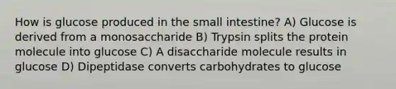 How is glucose produced in the small intestine? A) Glucose is derived from a monosaccharide B) Trypsin splits the protein molecule into glucose C) A disaccharide molecule results in glucose D) Dipeptidase converts carbohydrates to glucose