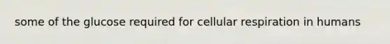 some of the glucose required for cellular respiration in humans