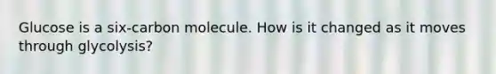 Glucose is a six-carbon molecule. How is it changed as it moves through glycolysis?