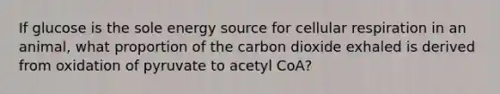 If glucose is the sole energy source for <a href='https://www.questionai.com/knowledge/k1IqNYBAJw-cellular-respiration' class='anchor-knowledge'>cellular respiration</a> in an animal, what proportion of the carbon dioxide exhaled is derived from oxidation of pyruvate to acetyl CoA?