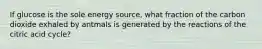 If glucose is the sole energy source, what fraction of the carbon dioxide exhaled by antmals is generated by the reactions of the citric acid cycle?