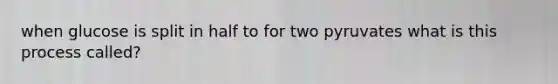 when glucose is split in half to for two pyruvates what is this process called?