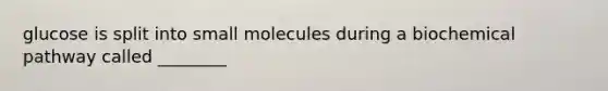 glucose is split into small molecules during a biochemical pathway called ________