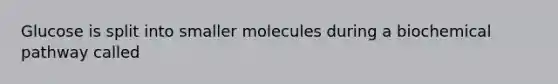 Glucose is split into smaller molecules during a biochemical pathway called