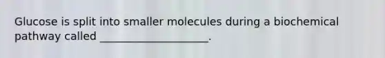 Glucose is split into smaller molecules during a biochemical pathway called ____________________.