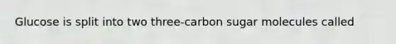 Glucose is split into two three-carbon sugar molecules called