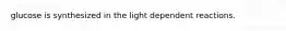 glucose is synthesized in the light dependent reactions.