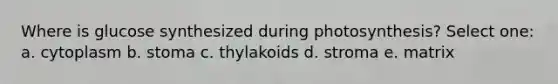 Where is glucose synthesized during photosynthesis? Select one: a. cytoplasm b. stoma c. thylakoids d. stroma e. matrix