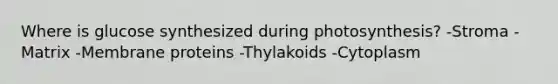 Where is glucose synthesized during photosynthesis? -Stroma -Matrix -Membrane proteins -Thylakoids -Cytoplasm